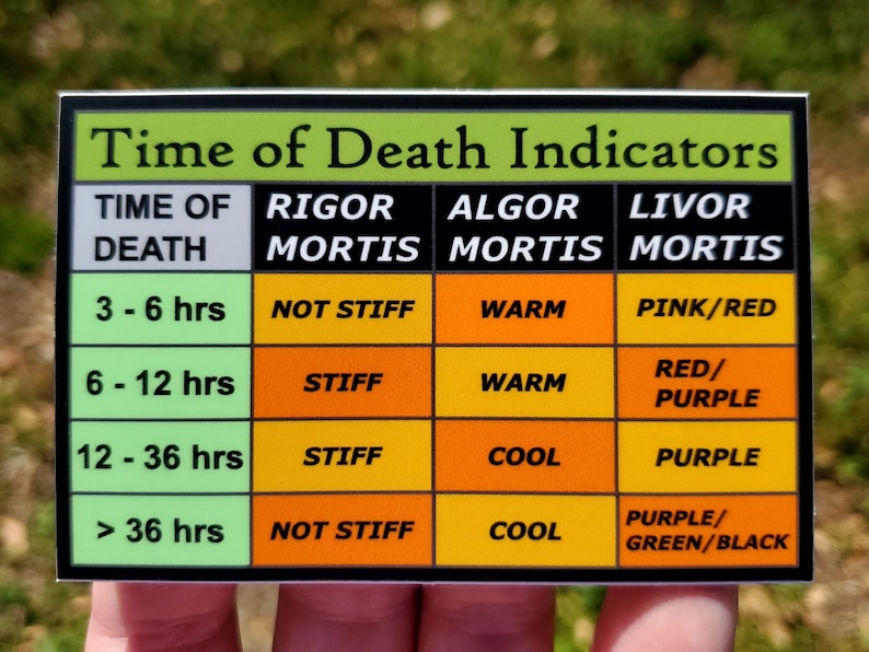 Time of Death Indicators / Forensics / Forensic Science / Etsy
