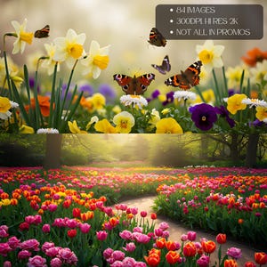 May include: A colourful garden scene with daffodils, pansies, and tulips in full bloom. Butterflies are seen flitting amongst the flowers. The image includes text that reads: 84 Images, 300DPI HI RES 2K, NOT ALL IN PROMOS.