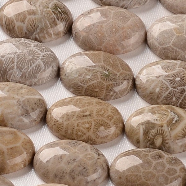 Natural Chrysanthemum Fossil Cabochon, Oval 18x25mm, Set of 5 Stones, Brown Stone Flat Back Cabochons for Jewelry Making