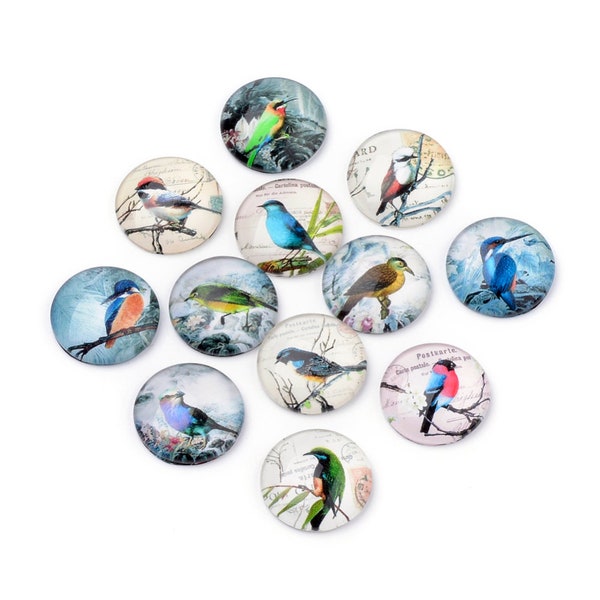 12mm Round Bird Glass Cabochon Lot, Flat Back, Set of 10, Mixed Lot Blue Bird, Kingfisher, Chickadee, Warbler