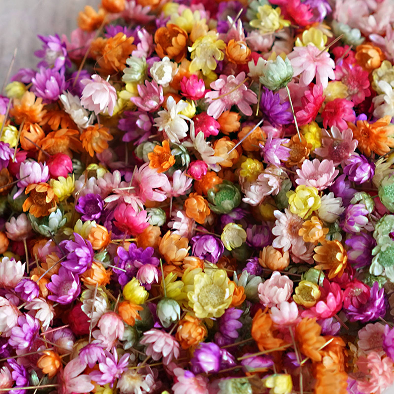 Tiny Multi-color dyed Dried Flowers for DIY UV Epoxy Resin, Candle Making,  Soap, Crafting Filler, Choose Size, Free Storage Box -  Israel