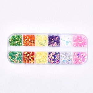 May include: A clear plastic container filled with twelve compartments of colorful nail art glitter. The glitter includes various shapes and colors, such as green leaves, orange butterflies, and pink stars. The glitter is designed for nail art.