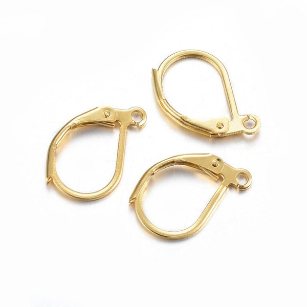 304 Stainless Steel Lever Back Earring, 15mm, Earring Wire, 10 pairs, Jewelry Finding, Choose Stainless, Rainbow or 24K Gold Plated