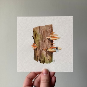 Mushroom Picnic - Square Print