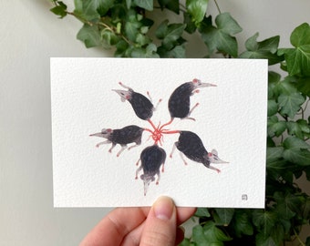 Rat King - A6 Print
