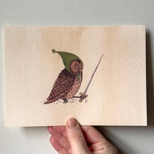 May include: An illustration of an owl wearing a green knitted hat and holding a sword. The owl has brown and white feathers and is perched on a branch. The artwork is on a beige background.