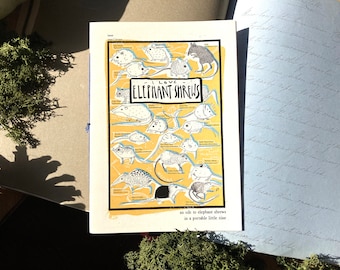 I LOVE ELEPHANT SHREWS - a zine for people who love elephant shrews