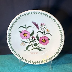 Portmeirion Botanic Garden Floral Pasta Schüsseln, Vintage Pasta Schüsseln 8,5 ""Kunstwerke."