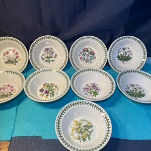 Portmeirion Botanic Garden Müslischalen, Suppenschalen, Pastaschalen. 16,5 cm - 16,5 cm - Ihre Wahl!