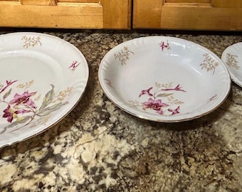 Vintage Fine China Plates, Bowls, Saucers and Teacups. Made in Bavaria, Germany, Featuring the Distinctive "Aloha" (or "Hibiscus") Pattern.