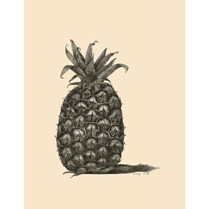 Pineapple in Pen & Ink (Giclée print)