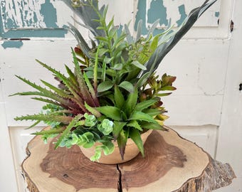 Artificial Succulent Arrangement, Mixed Succulent Centerpiece, Stag Horn Fern arrangement