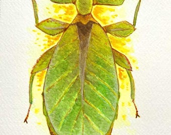 Green Leaf Bug Watercolour Art Print – Avery Healing Nature Wall Art