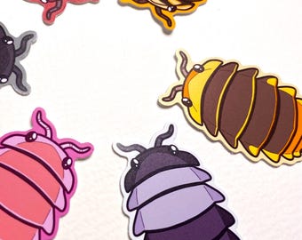Isopod variant stickers - hand drawn woodlice species stickers
