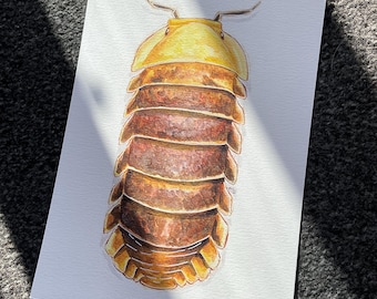 Rubber Ducky Isopod Watercolour Art Print - Original Art By Avery Healing