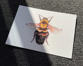 Rusty Patch Bumblebee Watercolour Art Print - Original Art by Avery Healing