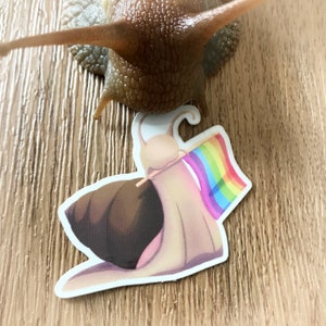 Pegatinas de caracol del orgullo - Derechos trans - Organización sin ánimo de lucro