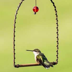 May include: A small green hummingbird perched on a wooden perch attached to a metal swing. The swing is suspended from a red glass bead.