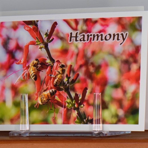 Nature Inspiration: Honey Bee Harmony, Colorful 5x7 Folding Card Featuring Close-Up Photo Bee#6, Printed on Linen-Textured Paper