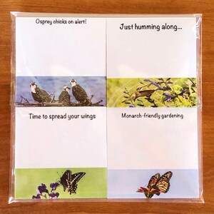 May include: A set of four note cards with images of birds and butterflies. The top left card has a photo of three osprey chicks in a nest with the text "Osprey chicks on alert!" The top right card has a photo of a hummingbird in flight with the text "Just humming along..." The bottom left card has a photo of a butterfly on a flower with the text "Time to spread your wings". The bottom right card has a photo of a butterfly on a flower with the text "Monarch-friendly gardening".