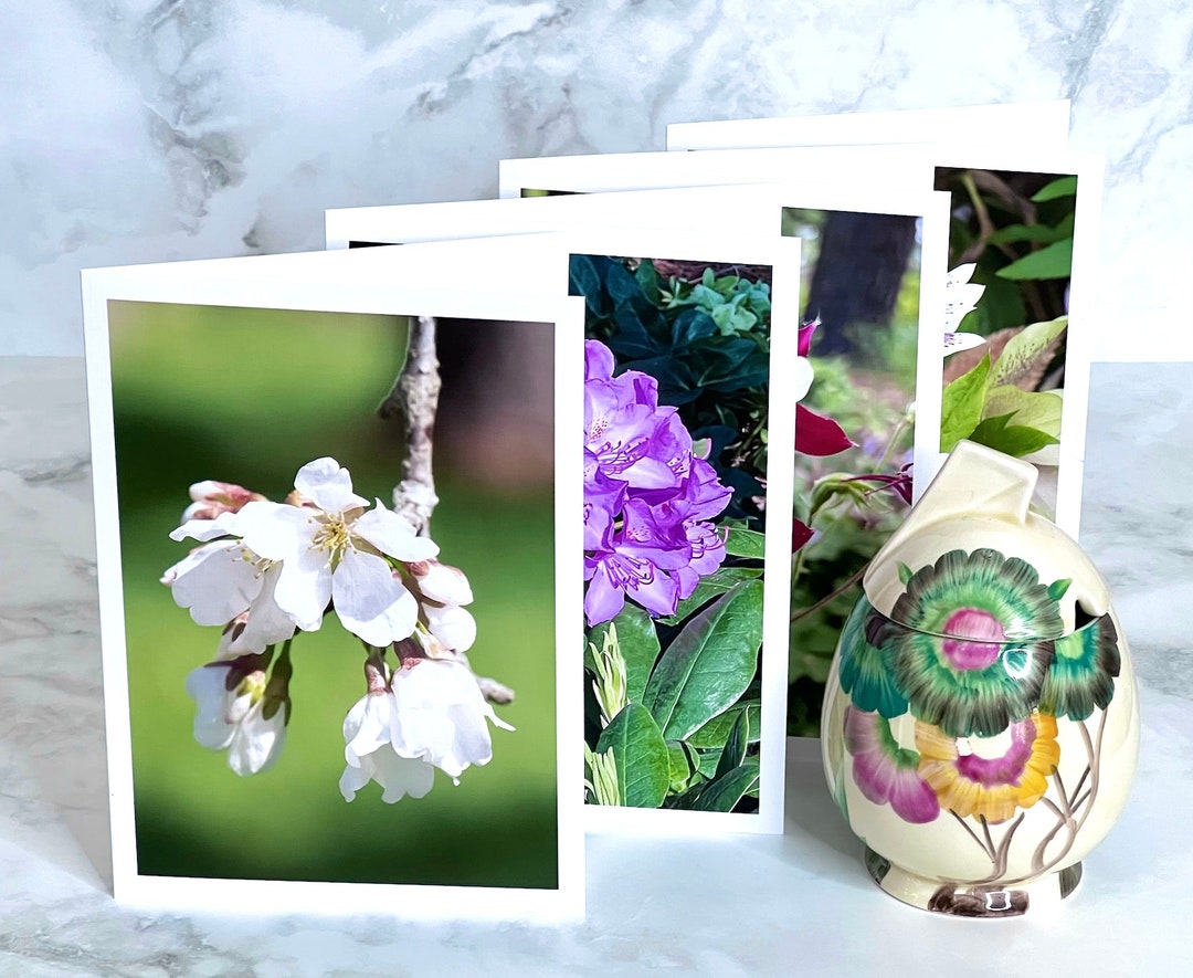 Beautiful Blossoms Card Collection: Folded 5x7 Notecards, Close-up ...