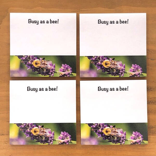 Busy Bee Sticky Notes: 3x3” White 50-Page Nature Notepads with Colorful Bee#7 Original Close-Up Photo and Related Headline