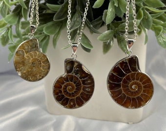Puede incluir: Tres collares de plata con colgantes de fósiles de amonites marrones. Los amonites tienen forma de espiral y son de color marrón y dorado.