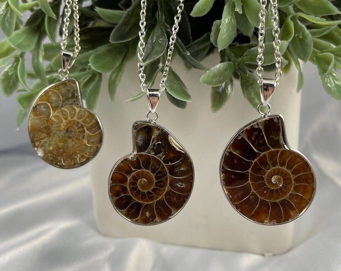 Fossilized Ammonite Silver Necklace