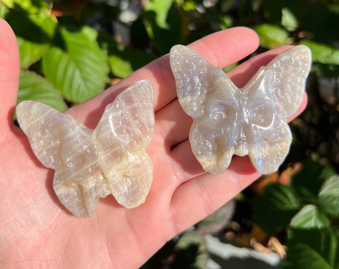 Moonstone Skull Butterfly Crystal