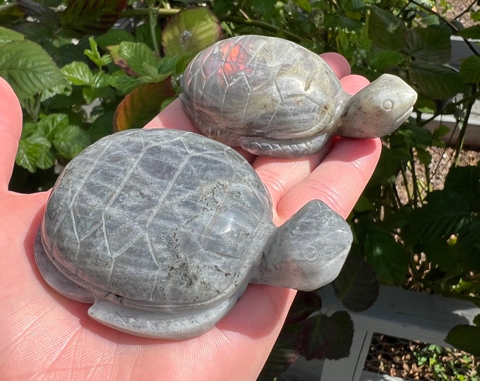 Labradorite Turtle Crystal