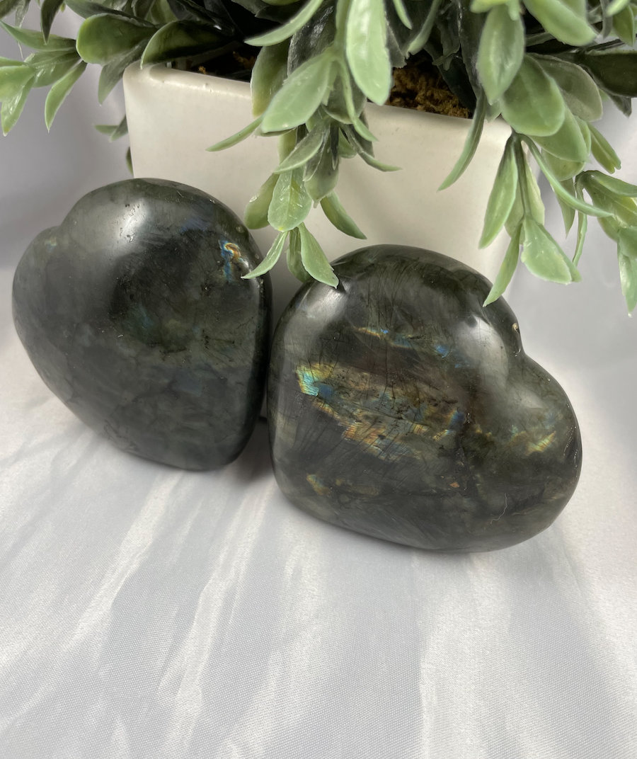 May include: Two heart-shaped labradorite stones. The stones are a dark gray color with iridescent flashes of blue, green, and gold. The stones are sitting on a white surface, with a white pot and green plant in the background.