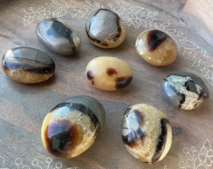 Septarian Palm Stone Crystal