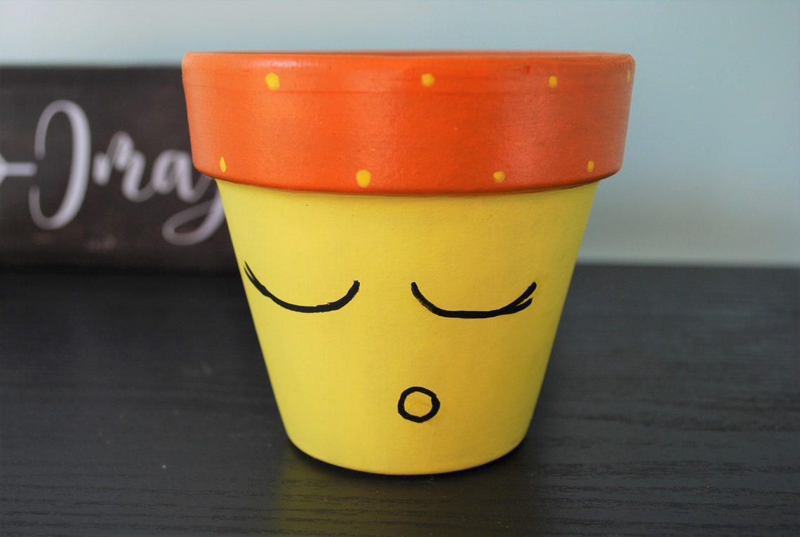 Painted Terracotta pot Painted indoor planter Cute face pot Etsy
