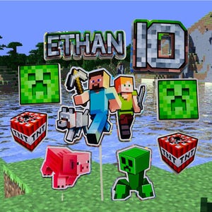 May include: A selection of Minecraft-themed party decorations. Features character cutouts of Steve, Alex, and a Creeper, alongside TNT blocks, a pig, and the name "ETHAN" and the number "10". The decorations are set against a pixelated background.