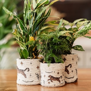 May include: Three potted plants in decorative pots with a tiger print design. The pots are white with brown tiger stripes and gold stars. The plants are green and leafy.