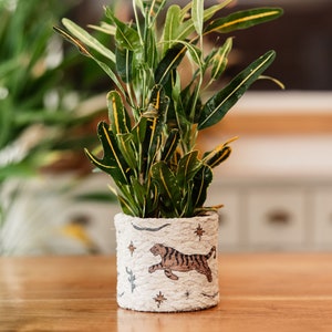 K&ouml;nnte beinhalten: Eine gr&uuml;ne und gelbe Zimmerpflanze mit panaschierten Bl&auml;ttern in einem wei&szlig;en Topf mit Tigerdesign. Der Topf hat einen braunen Tiger mit Sternen und anderen Designs.