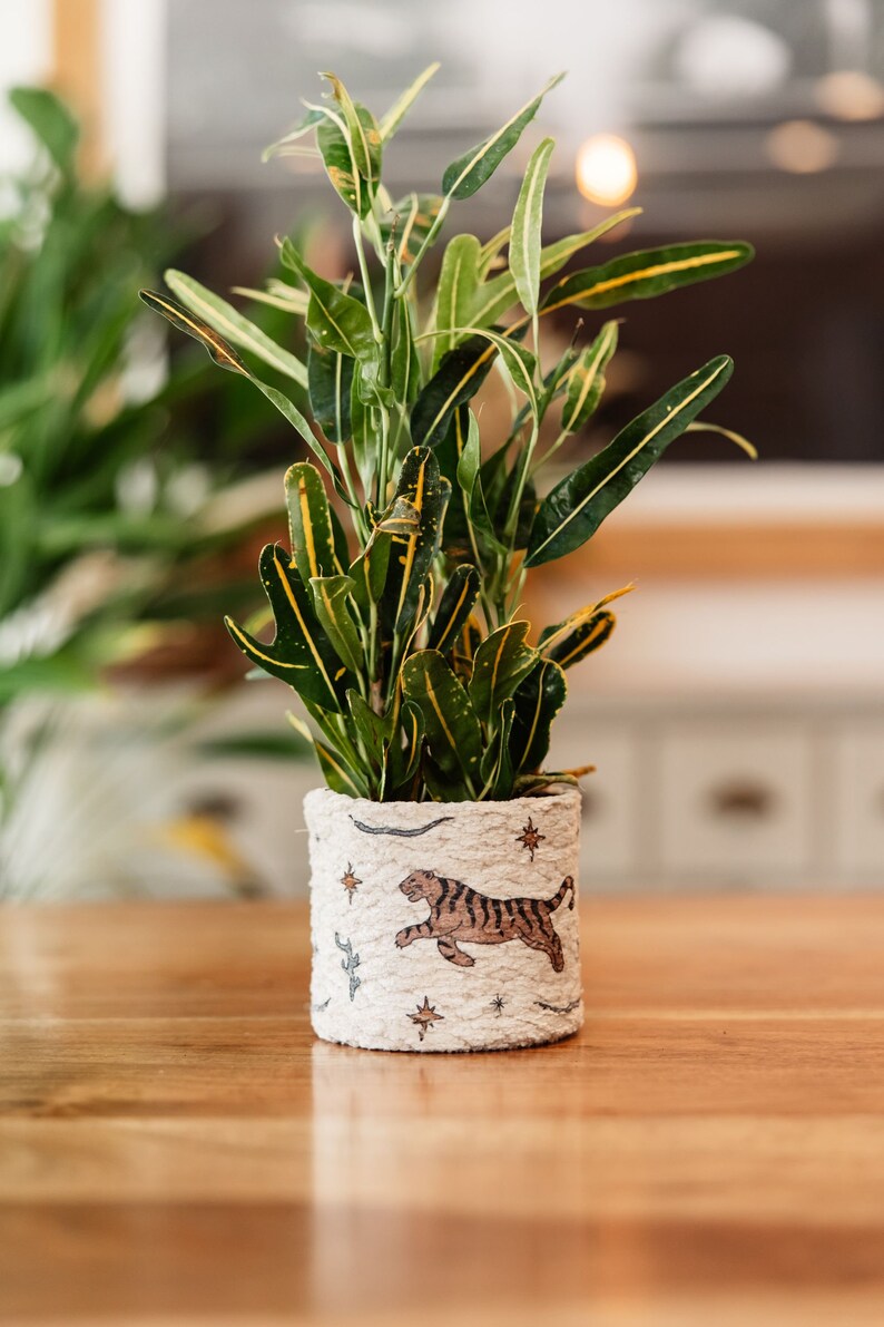 K&ouml;nnte beinhalten: Eine gr&uuml;ne und gelbe Zimmerpflanze mit panaschierten Bl&auml;ttern in einem wei&szlig;en Topf mit Tigerdesign. Der Topf hat einen braunen Tiger mit Sternen und anderen Designs.