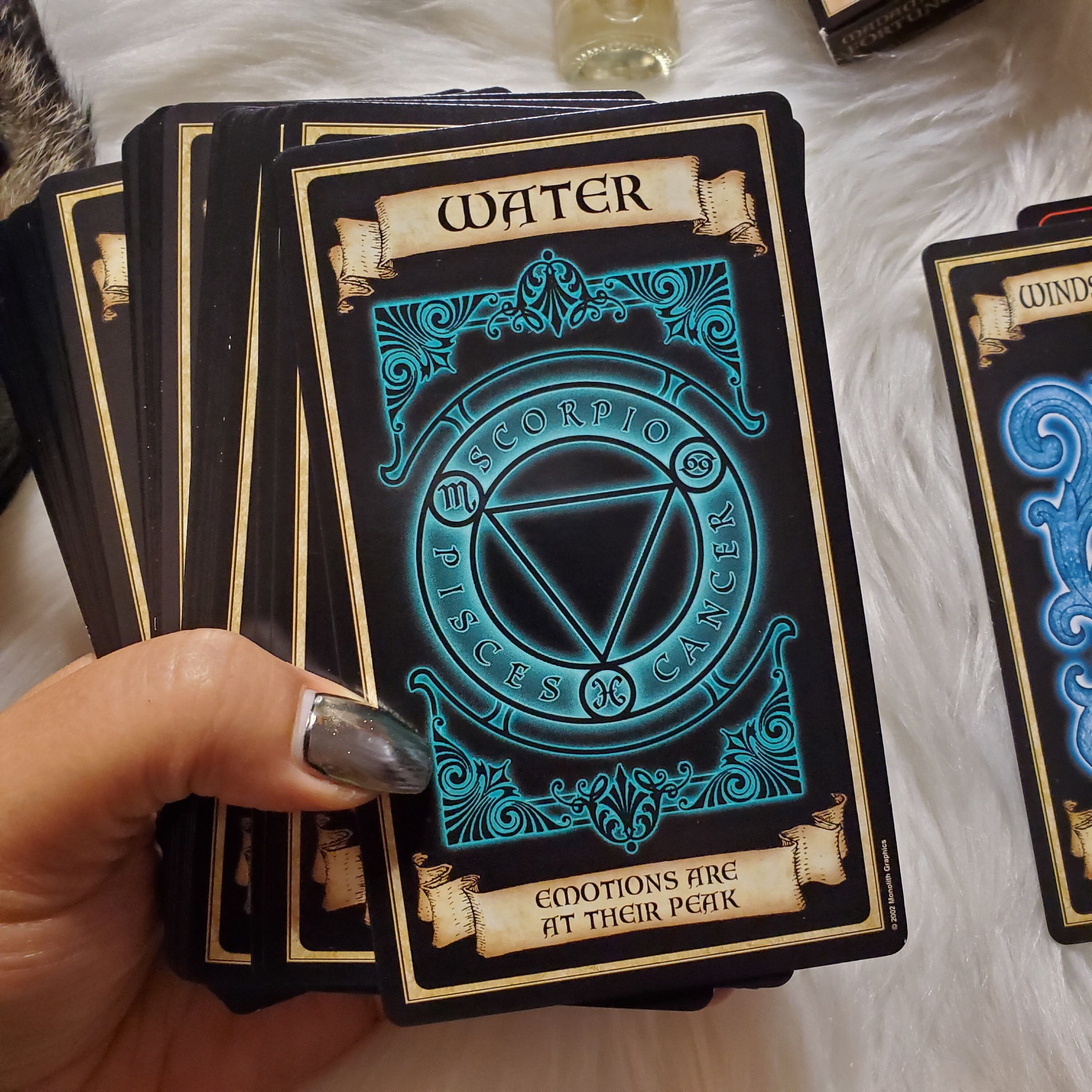 ♣◼♣MADAME ENDORA'S FORTUNE CARDS♣◼♣正規品 Madame Endora's Fortune Cards: Christine Filipak, Christine