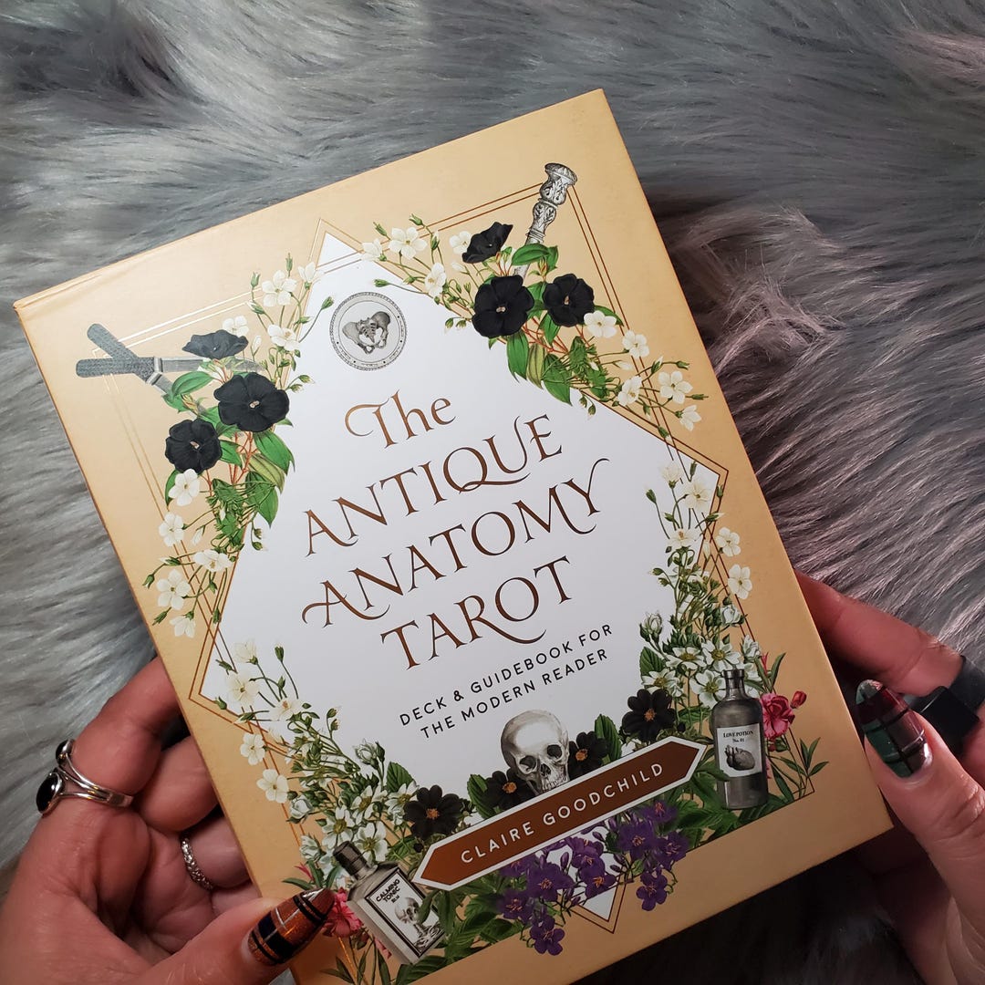 Antique Anatomy Tarot Deck & Guidebook – Vintage Occult Aesthetic
