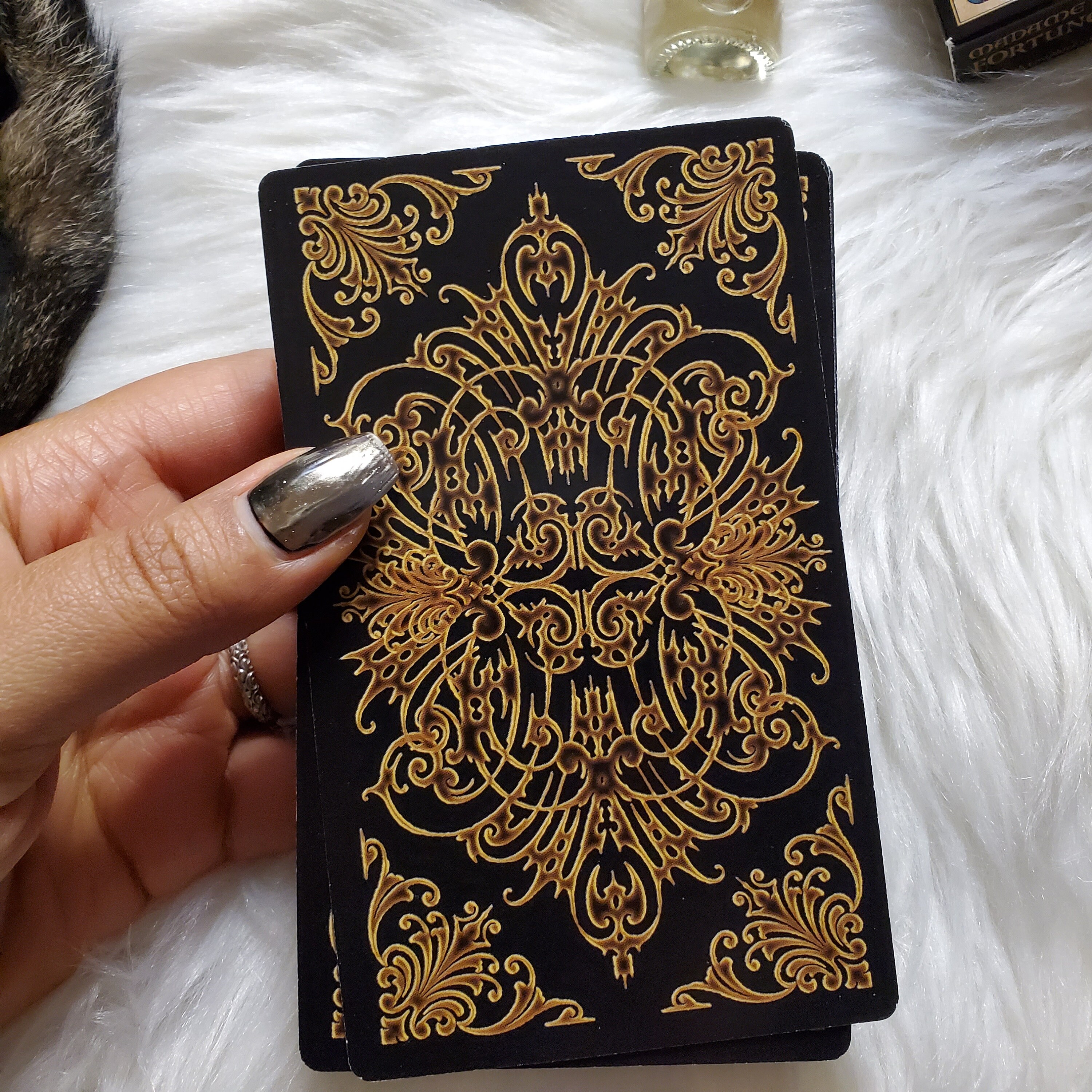 ♣◼♣MADAME ENDORA'S FORTUNE CARDS♣◼♣正規品 Madame Endora's Fortune Cards: Christine Filipak, Christine