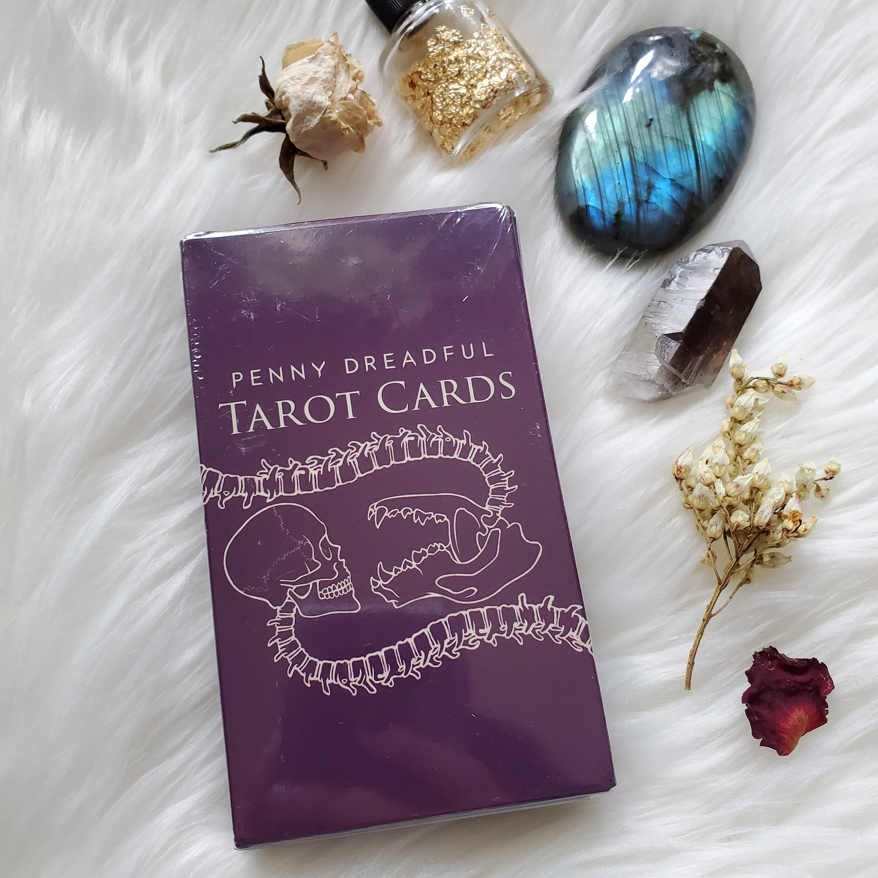 New Penny Dreadful Tarot Cards Boxed 78 Deck Showtime - Etsy Israel