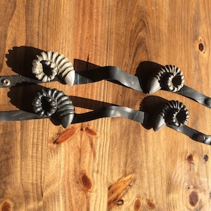 Party costume-Unique accessories-Horns-animal horns