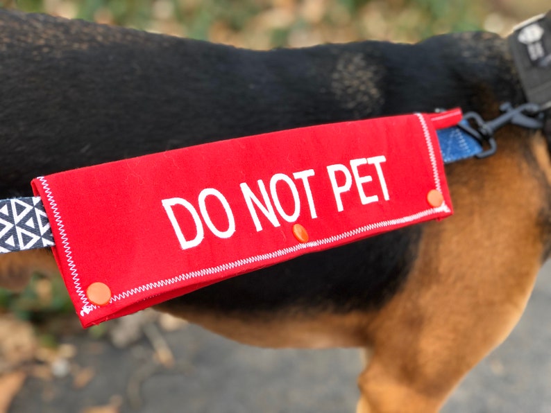 DO NOT PET Dog Leash Wrap Dog Leash Sleeve Custom Dog Leash Etsy