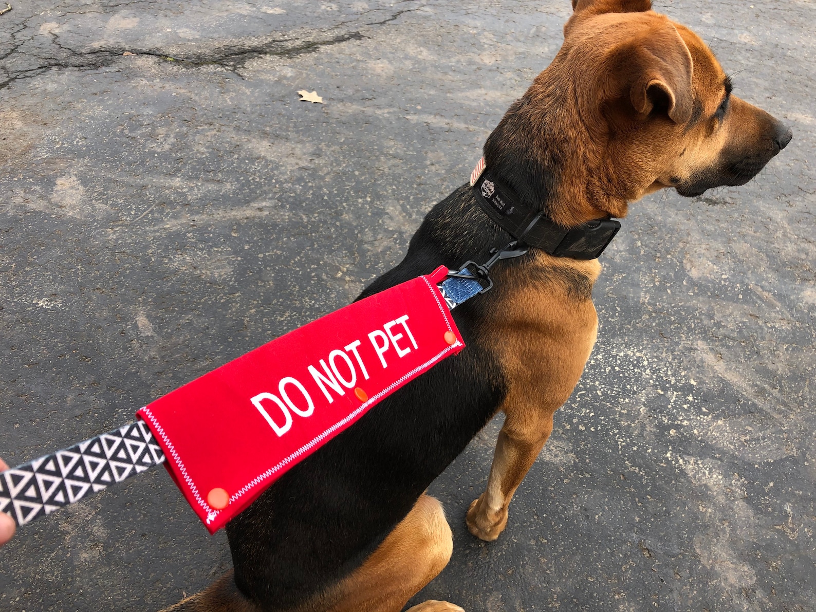 AGGRESSIVE Dog Leash Wrap Dog Leash Sleeve Custom Dog Leash Etsy