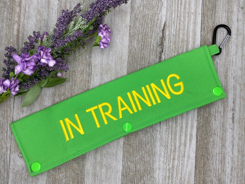 IN TRAINING Dog Leash Wrap Dog Leash Sleeve Custom Dog Etsy