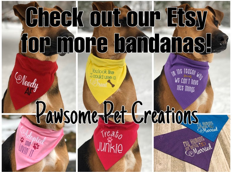 Big Brother Sister Over the Collar Dog Bandana Pregnancy Etsy