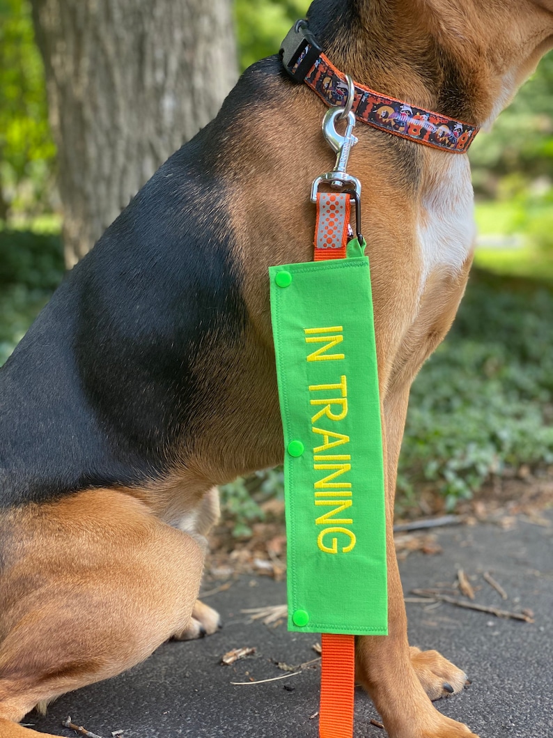 IN TRAINING Dog Leash Wrap Dog Leash Sleeve Custom Dog Etsy.de