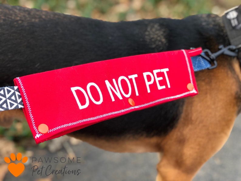 Do Service Dogs Need Leashes