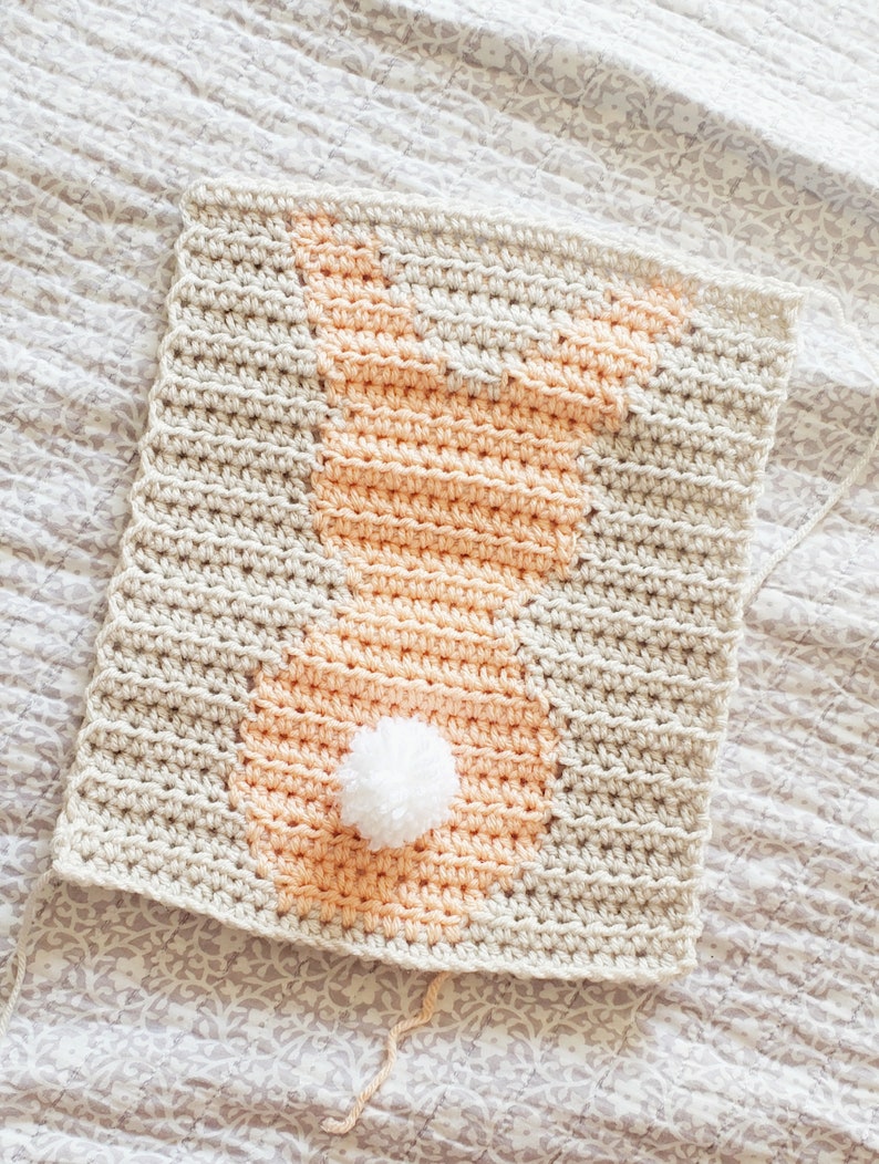 Crochet Baby Blanket Pattern for Girls, Spring Baby Blanket Crochet Pattern, Bunny Crochet Baby Blanket image 8