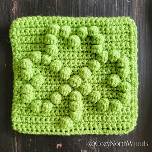 May include: A green crochet square with a textured, raised pattern. The square is made with a single crochet stitch and has a repeating pattern of small, raised circles.